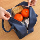 Bolsa Térmica Portátil  para transporte de frios ou quente - Leve seus alimentos favoritos para onde quiser, com praticidade e segurança!