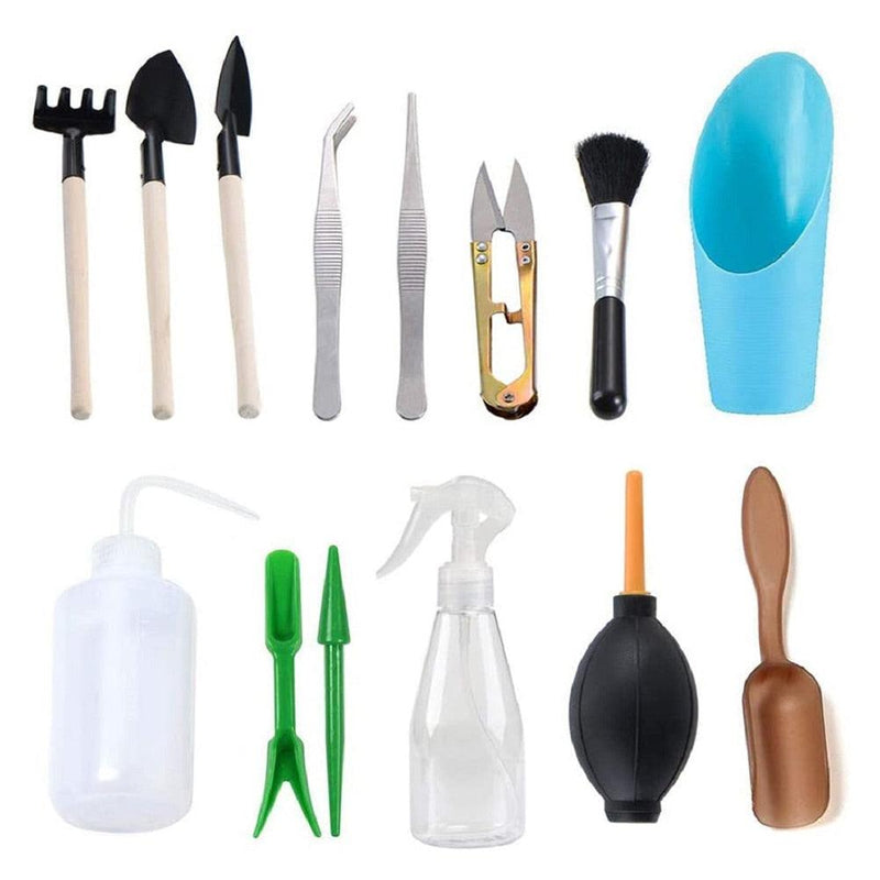 Kit de jardinagem para suculentas 12 peças - Faça de seu jardim uma obra de arte!
