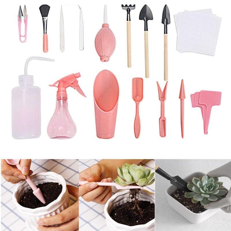 Kit de jardinagem para suculentas 12 peças - Faça de seu jardim uma obra de arte!
