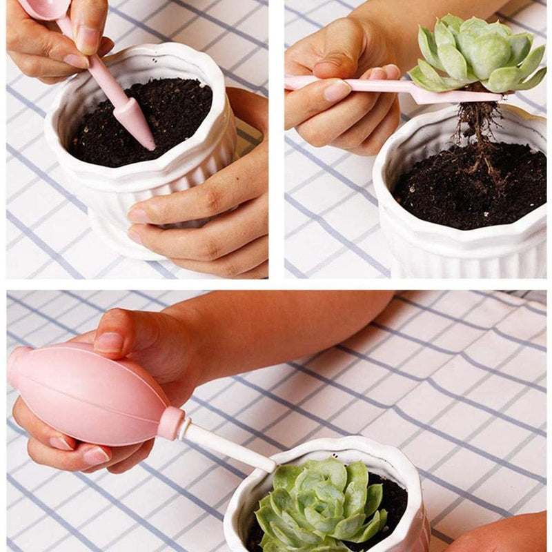 Kit de jardinagem para suculentas 12 peças - Faça de seu jardim uma obra de arte!