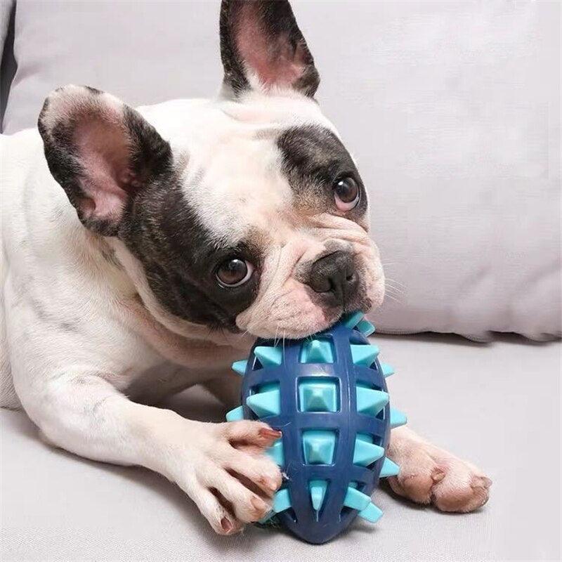 Brinquedos para cão mastigar - A chave para um cão feliz e saudável!